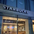 저녁 라인댄스 | 청주폴댄스 오하운폴댄스 청주점 한 달 후기