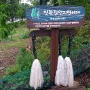 해파랑길 7코스 이미지