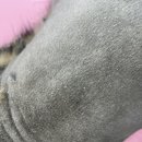 모들펫살롱 이미지