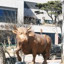 온새미로 장수골(한 네이버블로그