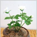 계양아트갤러리 이미지