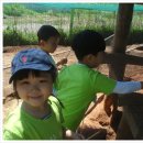 경한농장 이미지