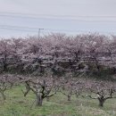 천주산 입구 이미지