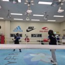 병점센트럴복싱 이미지