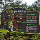 치유의 숲 주차장 화장실 이미지