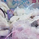 크레인뽑기방 이미지