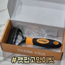 펫펍 고양이 빗 청정브러쉬 SNS 광고 보고 내돈내산 사용 후기 [PETPUP]