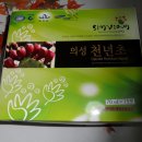 의성천년초