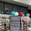 착한 고양이 Daum카페