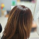 연산동미용실 M2헤어스토리 단백질 클리닉 비건 염색 후기