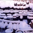 산들바람 이미지