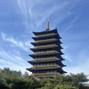 로비펫 | 경주 반려동물동반 더케이호텔 펫프랜들리 디럭스 전면뷰 후기