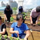 도시농부 - 양주시 외미로20번길 25-14 | 도시농부