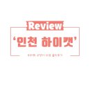 하이캣 | [고양이 미용 후기] 겁많은 페르시안친칠라 '레오', 인천 하이캣 1인샵에서 빵떡컷 성공기!