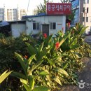 용궁석쇠구이 이미지