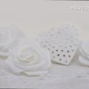 아름다운웨딩홀부산면관