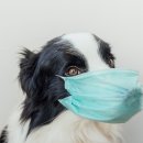 도그앤캣동물병원 이미지