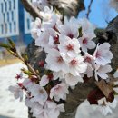2022년 4월 일상 🌸