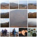 여천공용터미널 이미지