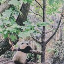 성도교역 이미지