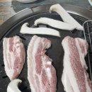 돼지꿈나라 이미지