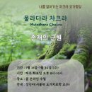 차크라요가 - 당진시 당진중앙1로 84 | 차크라요가