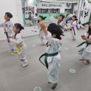 명문 태권도장 이미지