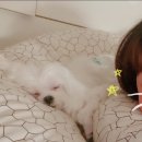 짱구네동물병원 이미지