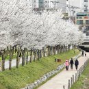 서운근린공원 이미지