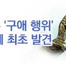 백서로 이미지