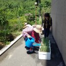 선우정경로당 이미지