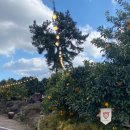 은하네농장 이미지