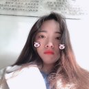 비제이여행사 이미지