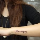 렉스디테일 이미지