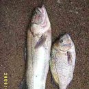 코바위민박 이미지