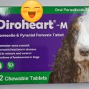 솔모루약국 이미지