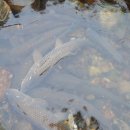 부론한의원 이미지