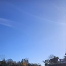 백한번째 2025년 6월 22일 : Lloyd Elsmore Park - Botany Down 이미지