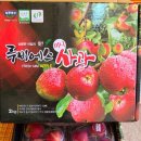 베리베리 사과농원