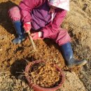 강산슈퍼 이미지