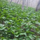 명이농장 이미지