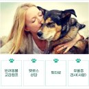 헬시투게더