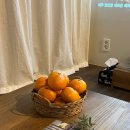 풀목집 | [제주 신상 숙소] 서귀포 감성 숙소 '풀목집'