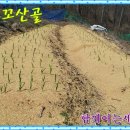 꼬꼬식품 이미지