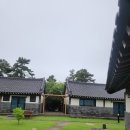 로즈마리증류수및비누만들기 이미지