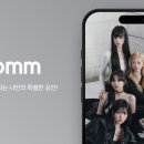 노머스