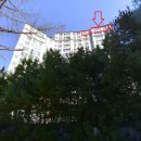 남광하우스토리공인중개사사무소 | 감정가 70% 별내동 남광하우스토리 아파트 경매