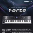 FORTE 모델 알아보기(영상 4개포함) 이미지