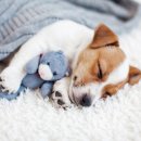 세탁보감 이미지