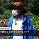 김경래 농장 이미지